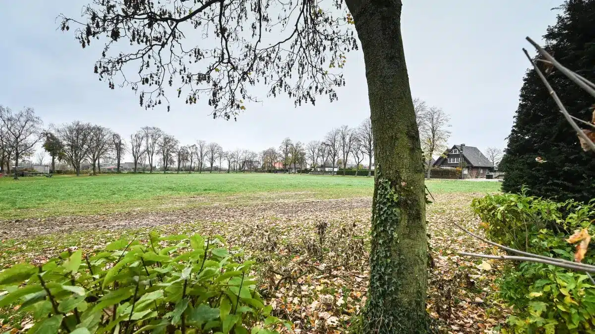 Sportplatz-Bebauung, Foto: Markus Weißenfels / FUNKE Foto Services