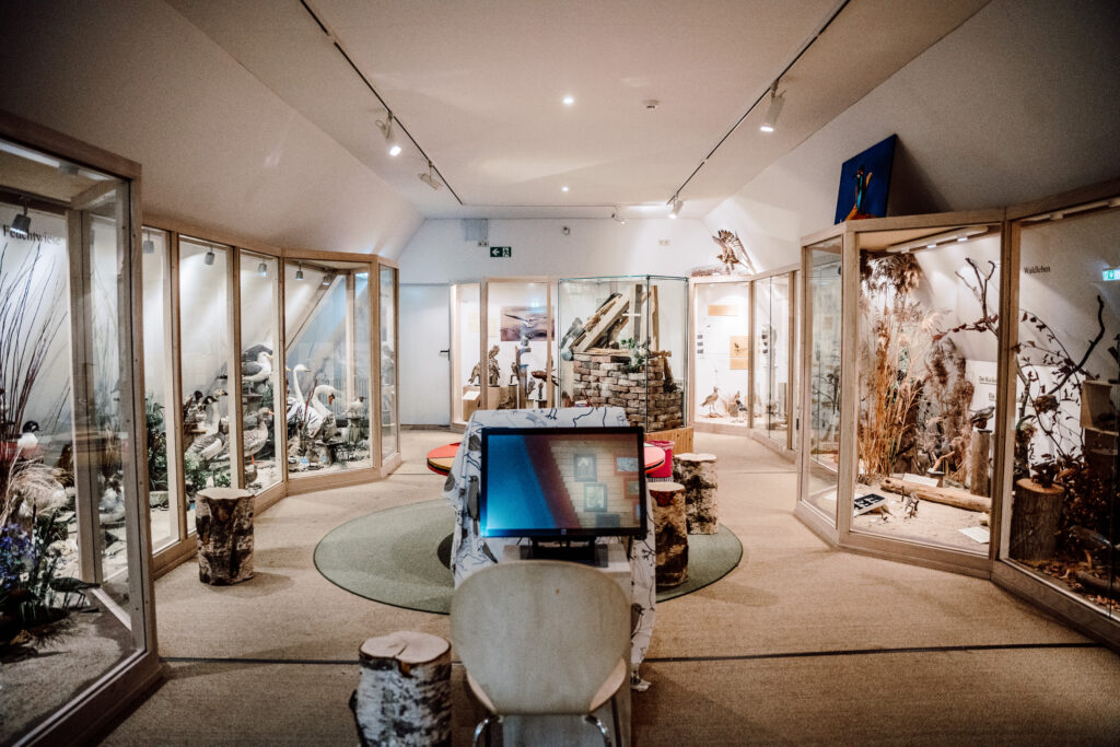 Museumsausstellung mit Naturthemen, Ausstellungsobjekten in Vitrinen und interaktiven Stationen.
