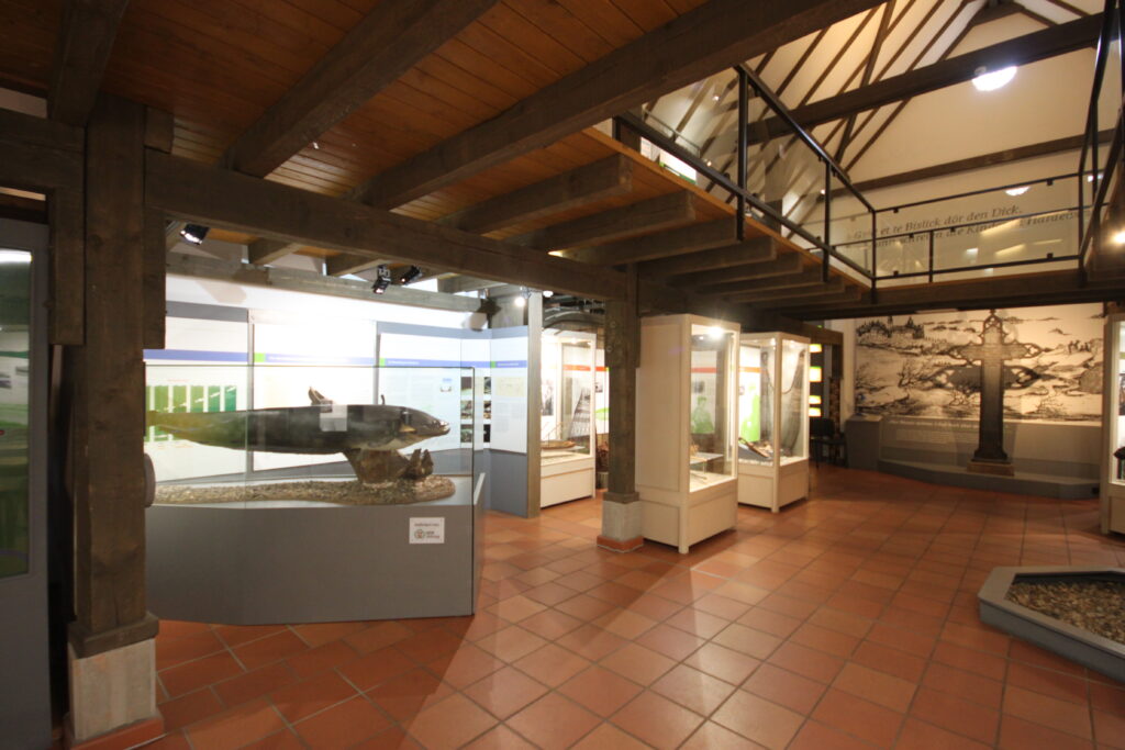 Innenansicht eines Museums mit Vitrinen, die Exponate ausstellen, und einem Holzdeckenbalken.