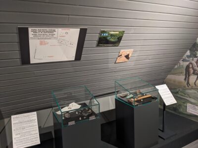 Archäologische Ausstellungsstücke in Vitrinen, dazu Informationstafeln und eine Karte an einer grauen Wand.