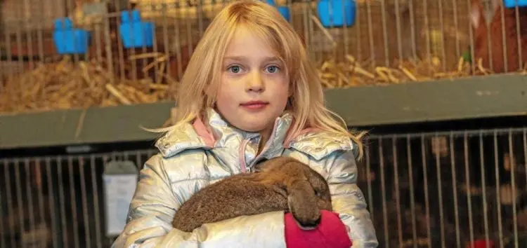 Rassekanninchen, Foto Arnulf Stoffel FFS Von Dirk Kleinwegen