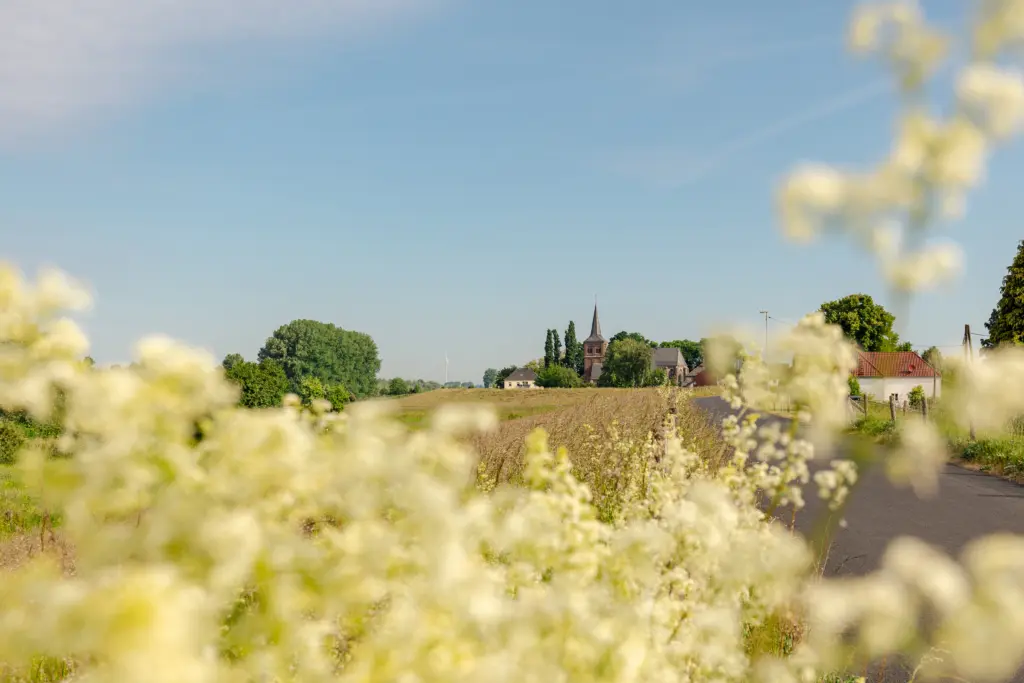 Deichdorf Bislich aus der Ferne