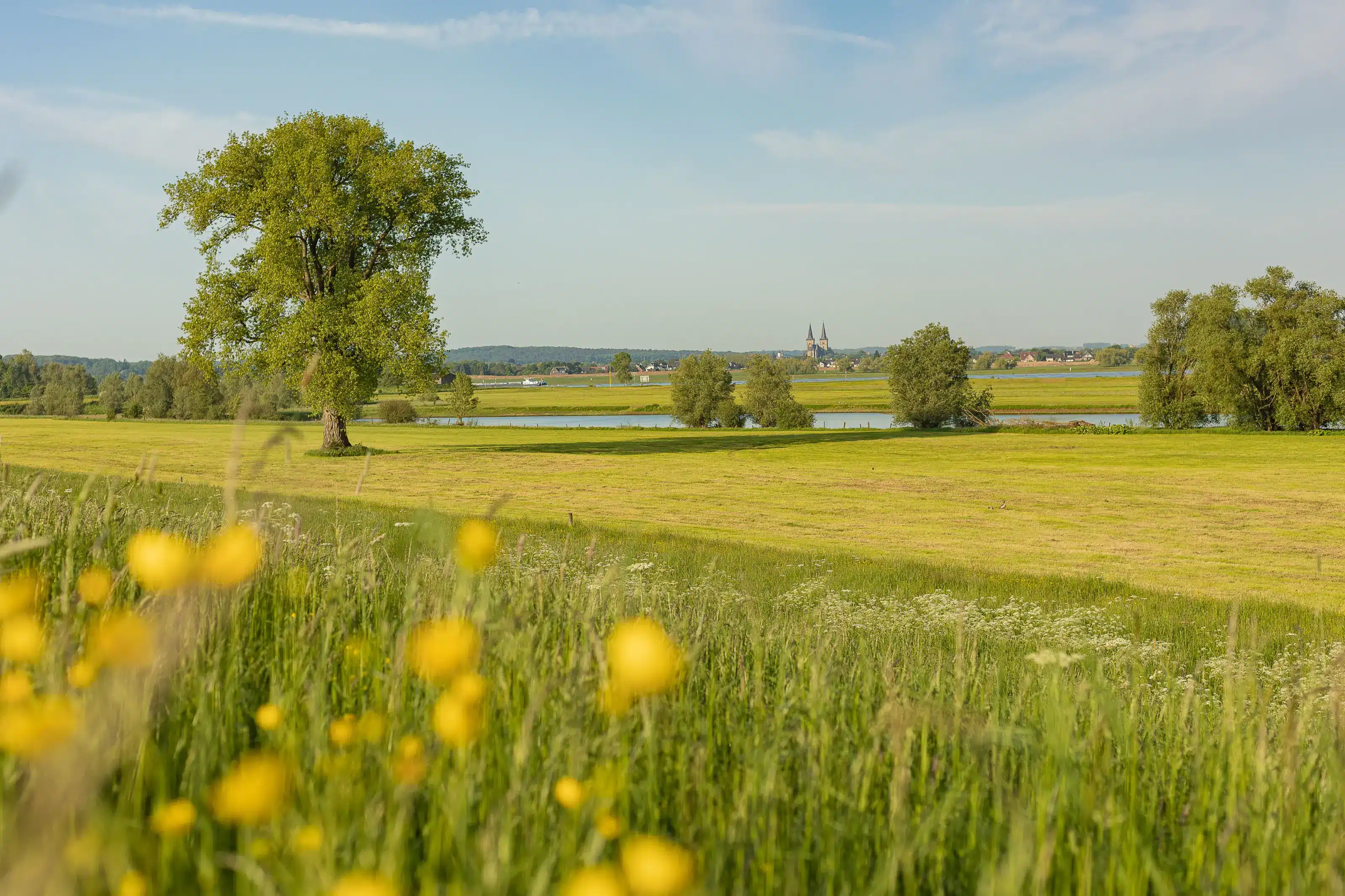 Bislich Damm Blick nach Xanten