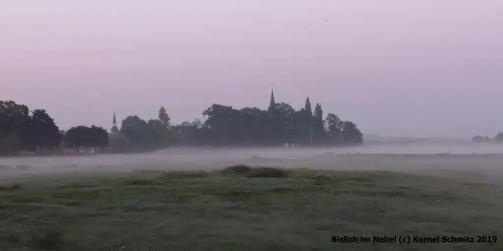 Bislich im Nebel