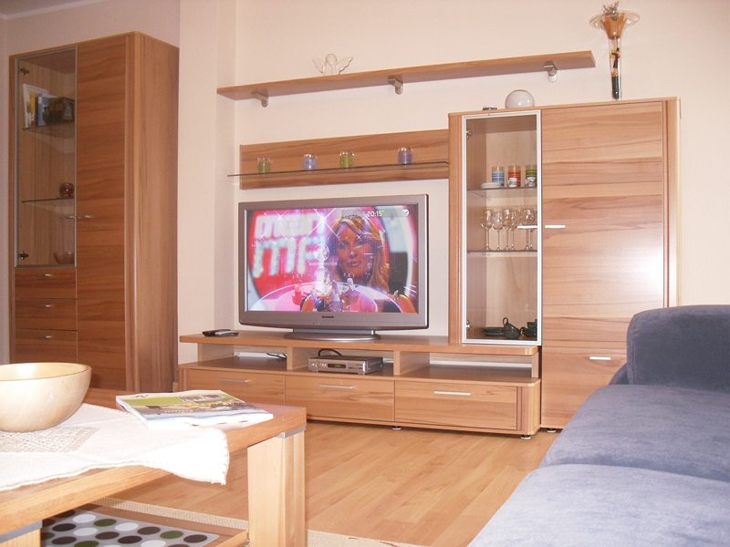 Wohnzimmer mit Holzregalen, Fernseher, Glaskasten und Couch, gemütliche Atmosphäre.