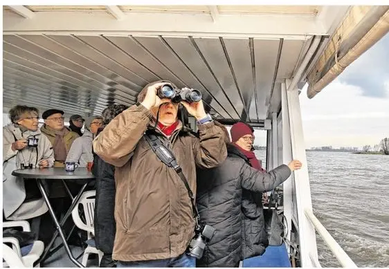 Gänse-Safari, Von Johannes Kruck