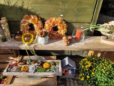 Dekorative herbstliche Arrangements mit Wolle, Kerzen, Pilzen und Blumen auf einem Holztisch.