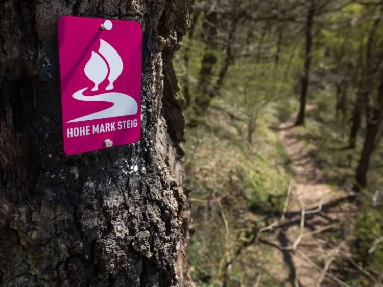 Hohe Mark Steig