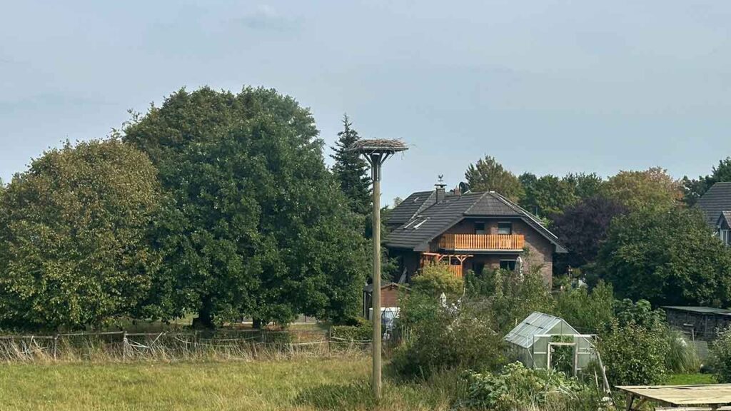 Eine ländliche Szene mit einem Wohnhaus, einem großen Baum und einem Strommast mit einem Storchennest im Vordergrund.