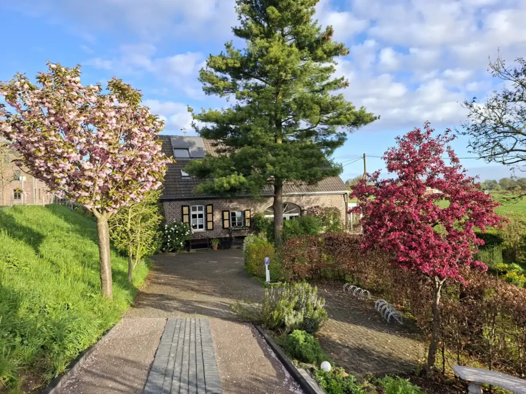 Ein Weg führt zu einem gemauerten Haus, umgeben von blühenden Bäumen und einer grünen Wiese unter einem blauen Himmel.